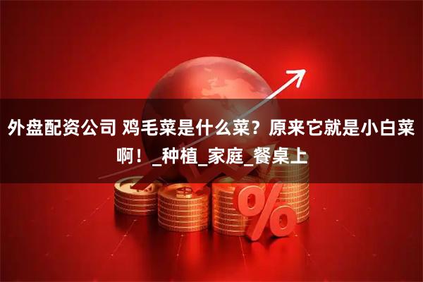 外盘配资公司 鸡毛菜是什么菜？原来它就是小白菜啊！_种植_家庭_餐桌上