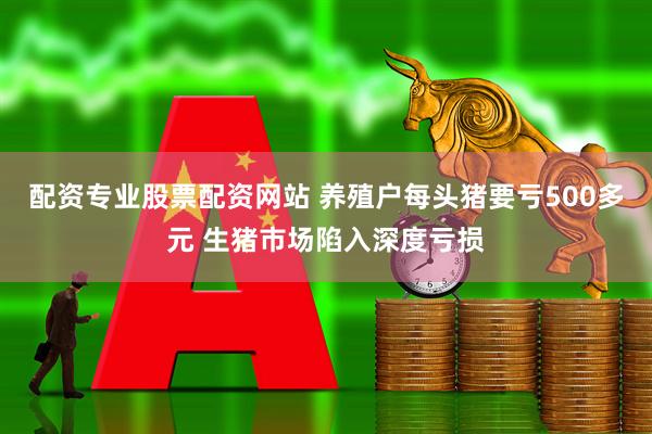 配资专业股票配资网站 养殖户每头猪要亏500多元 生猪市场陷入深度亏损